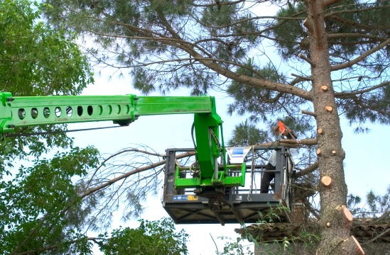 Entretien espace vert