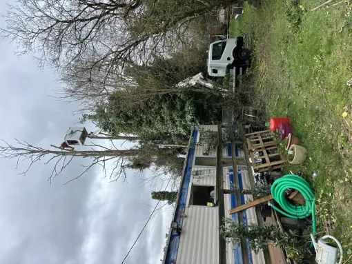 Élagage sur Coutras arbres dangereux, Coutras, Mr Waren