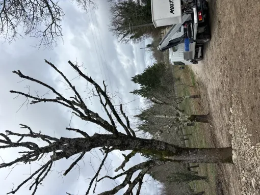 Entretien espace vert sur Libourne, Coutras, Mr Waren