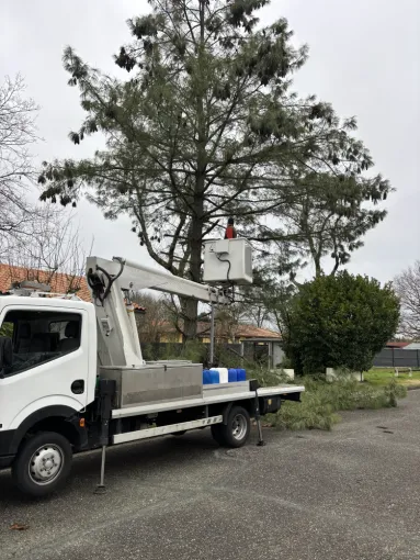 Élagage à Libournes, Coutras, Mr Waren