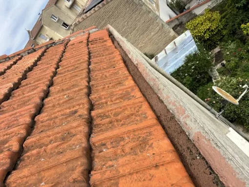 Nettoyage de gouttière et de façade Marmande, Coutras, Mr Waren