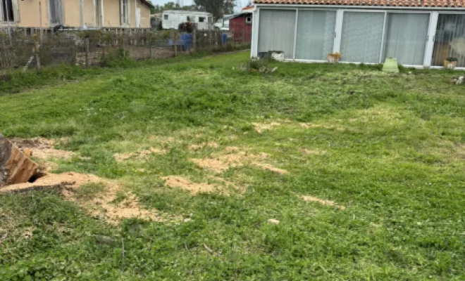 Élagage d’un cèdre tombé cause tempête , Coutras, Mr Waren