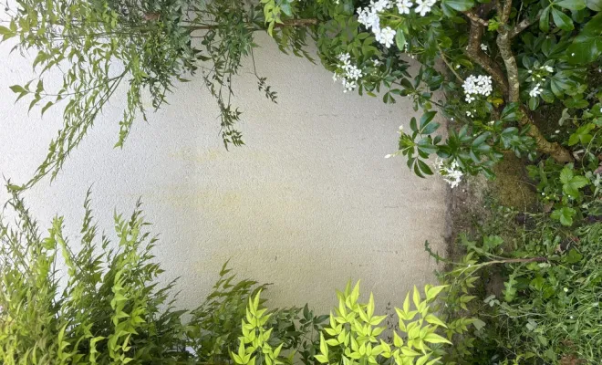 Nettoyage façade Libourne, Coutras, Mr Waren